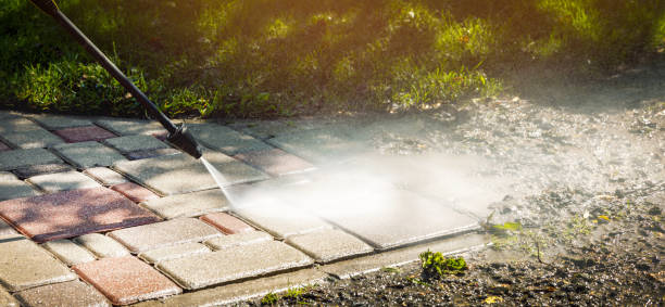 Best Solar Panel Cleaning  in Dike, IA